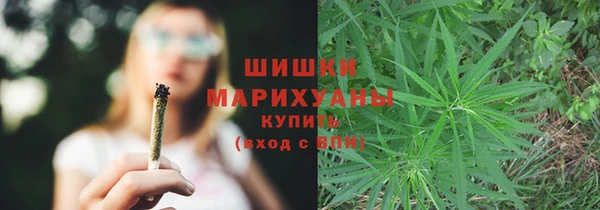 шишки Михайловск