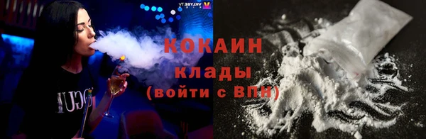 шишки Михайловск