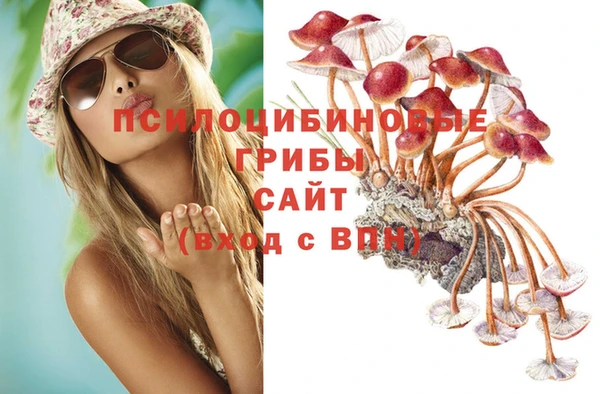 хмурый Михайлов