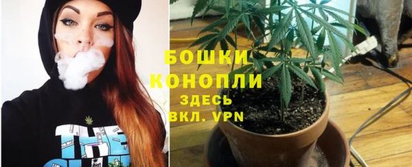 дурь Медногорск