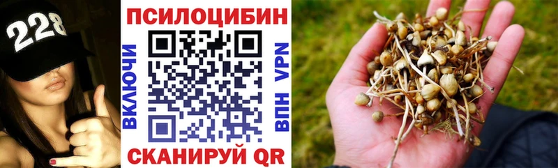 Галлюциногенные грибы мухоморы  Купить  Мариинский Посад 