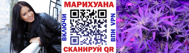 Купить закладки  Мариинский Посад  Каннабис сатива 
